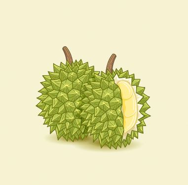 chumphon_durian