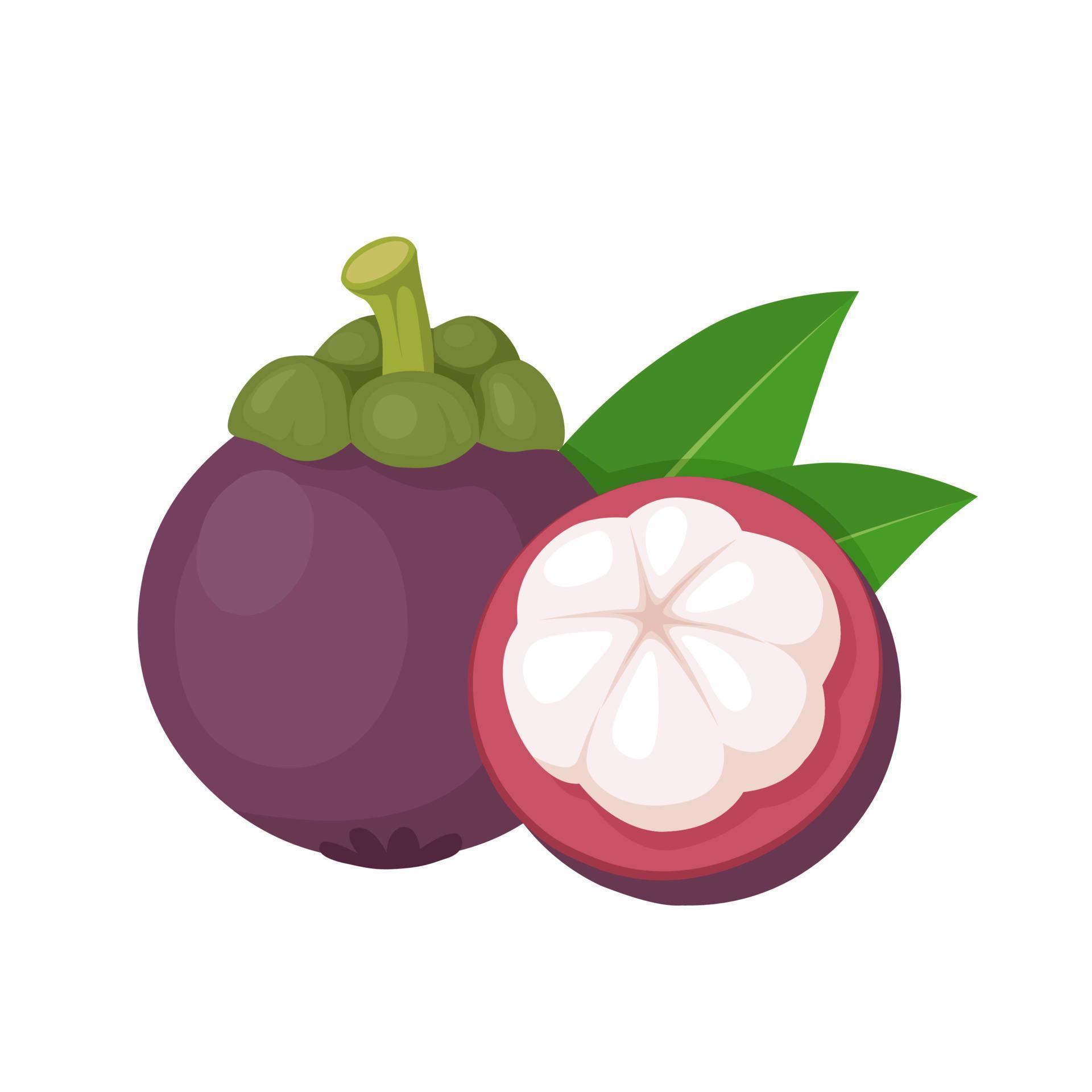 mangosteen