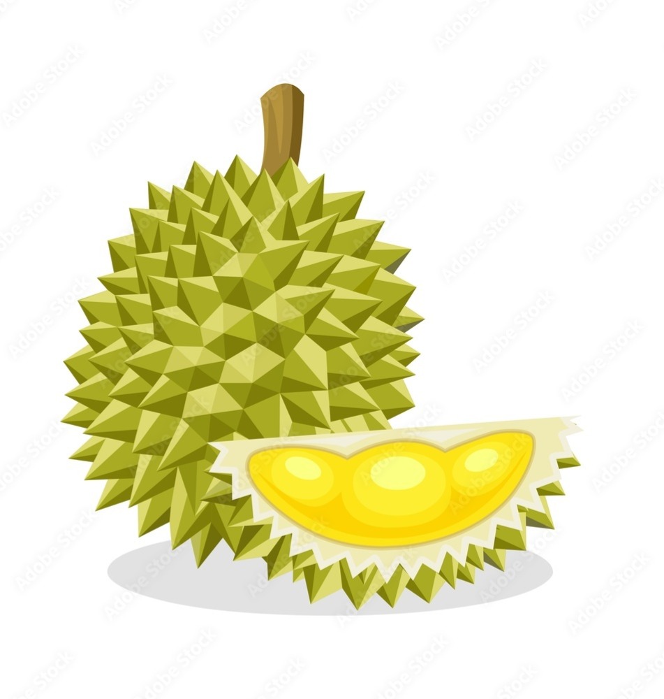 chumphon_durian